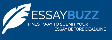 EssayBuzz.png